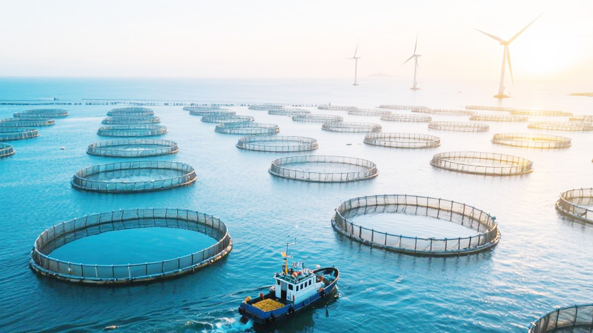 海南自贸港物流枢纽建设