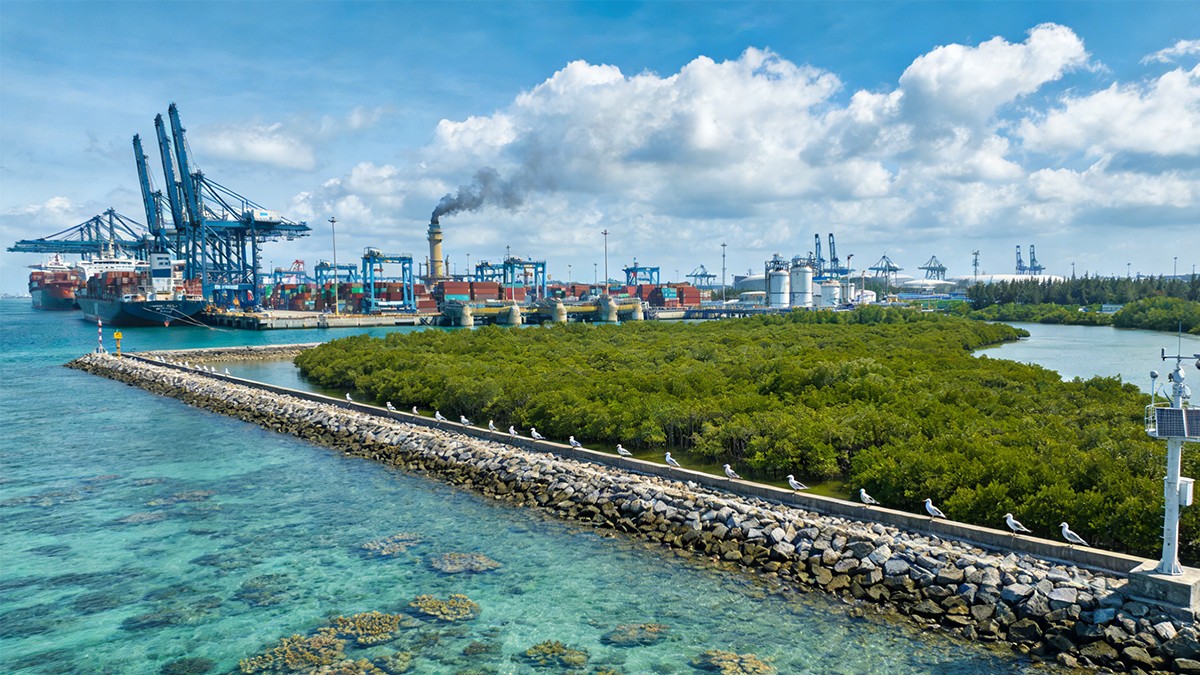 海南自贸港建设远景