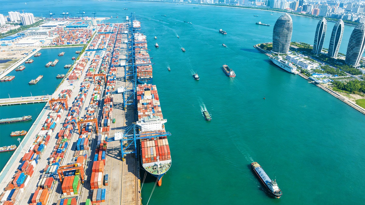 海南自贸港税收政策示意图