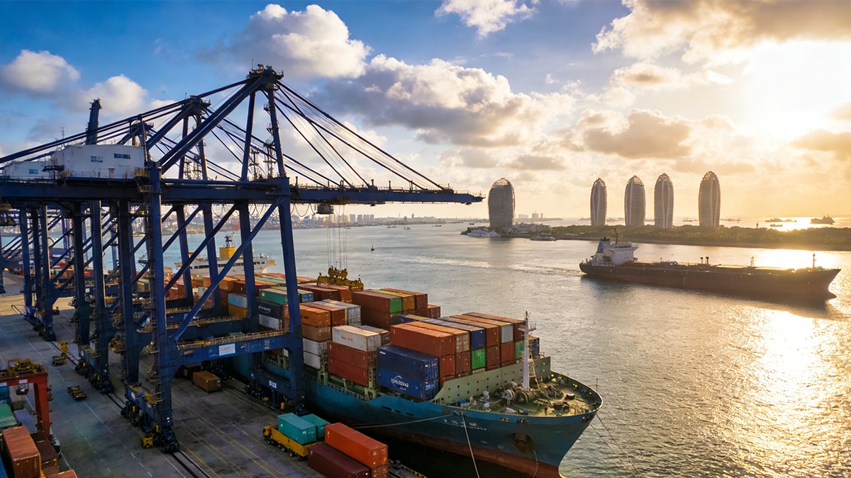 专业团队进行项目数据分析与报告撰写