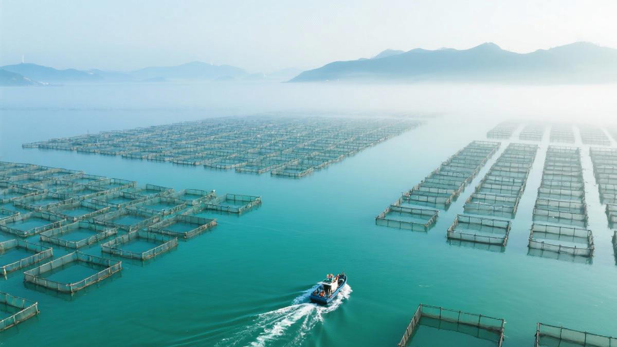 海南可研报告编制流程示意图